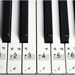 Átlátszó zongorabillentyűzet matricák, fekete-fehér