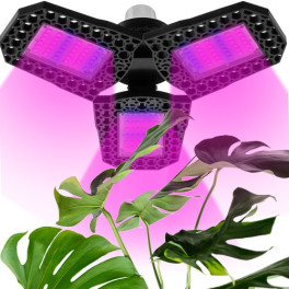LED lámpa növények növekedéséhez