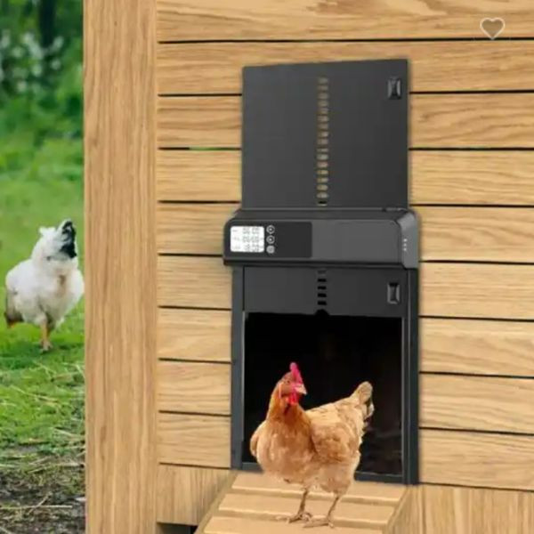 Automata csirkeól ajtó időzítővel