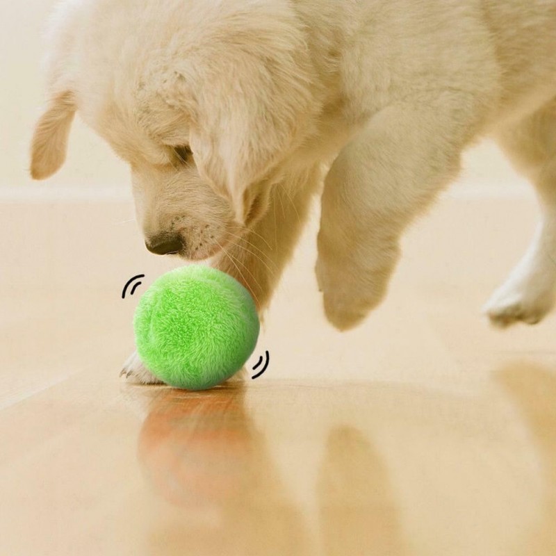Kutyajáték, kutya labda, interaktív labda kutyáknak