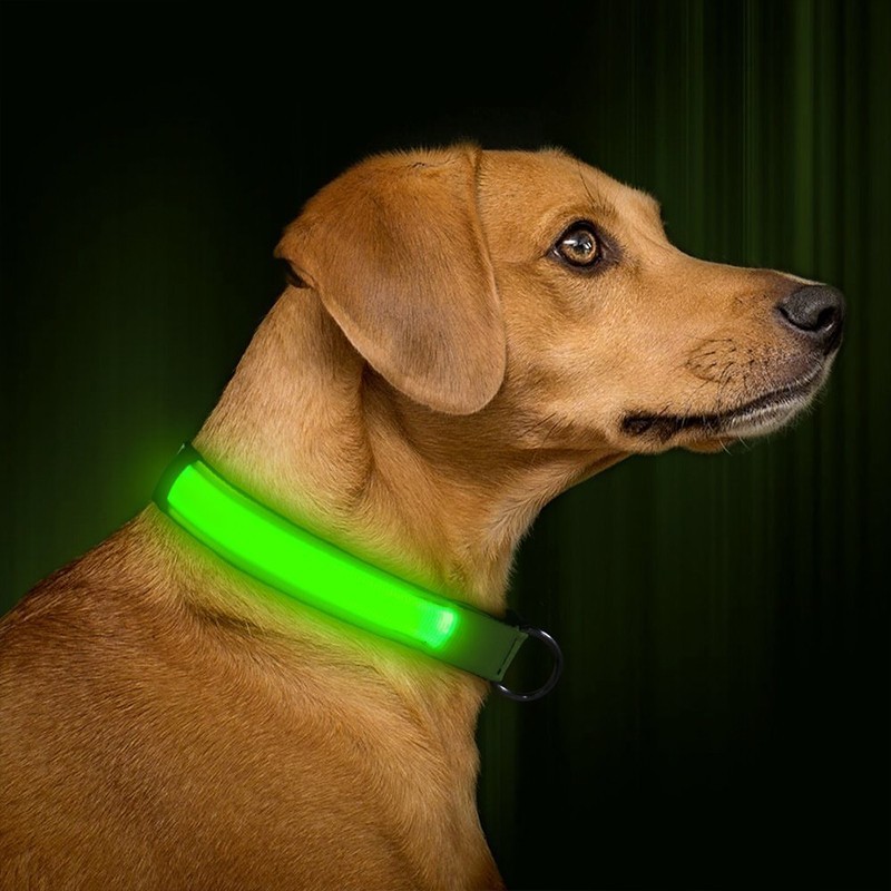LED kutya nyakörv világító kutyanyakörv