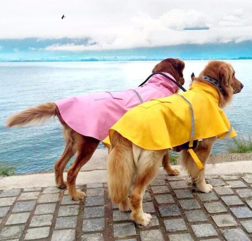 Vízhatlan kutya esőkabát
