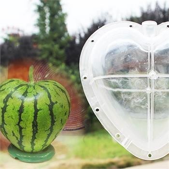 Kreatív görögdinnye-formázó