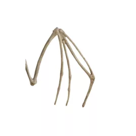   Denevér csontváz dekoráció Halloween díszítéshez 30cm Malatec 22005