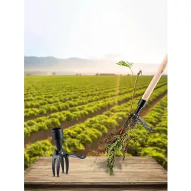 Gyomkiszedő, Gyomeltávolító fej