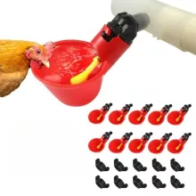 Haszonállat tartás