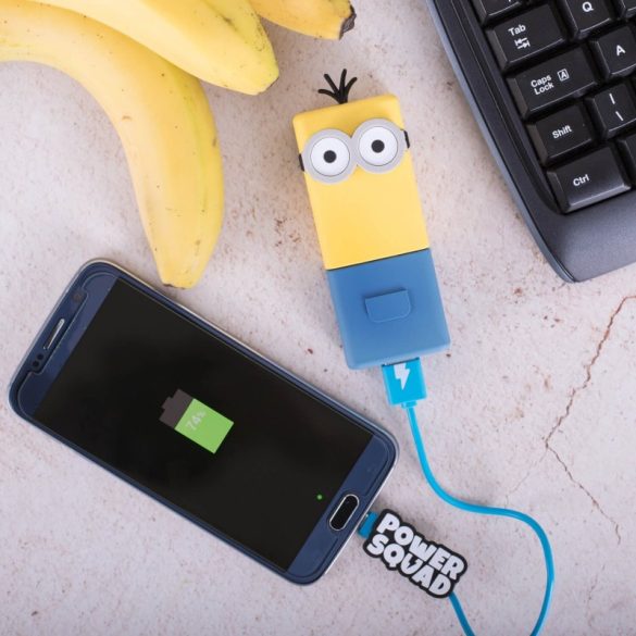 Minyonos PowerBank, Külső akkumulátor