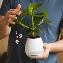 Bluetooth hangszóró