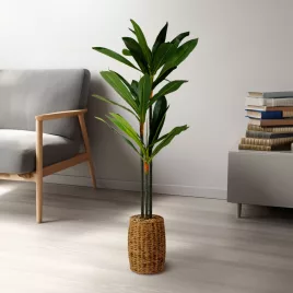   Vog und Arths Dracaena Fragrans műnövény dekoráció 1,1-1,2 m
