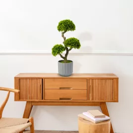 Vog und Arths műnövény bonsai dekoráció 55 x 27 cm