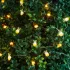 Family LED fényfüzér nyuszi és répa mintával, 2 m, 20 LED, 2 x AA