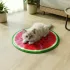Yummie kisállat hűsítő matrac 50 cm kivi, narancs, sárgadinnye