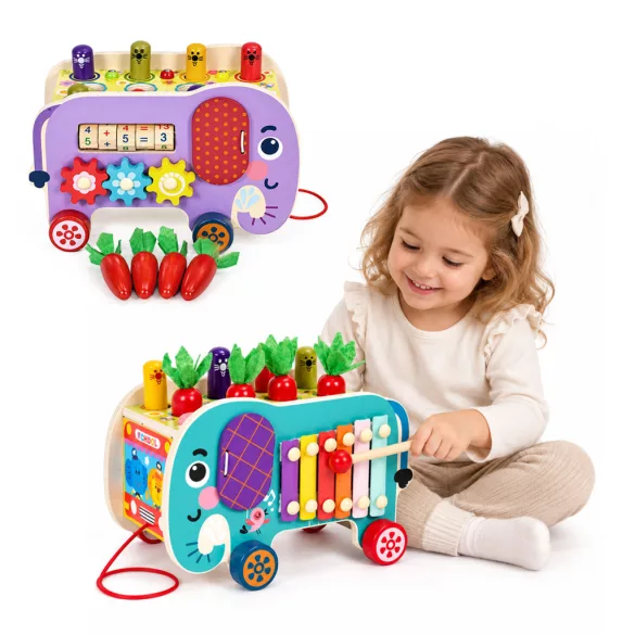ECOTOYS fa oktatókocka elefánttal 8w1, húzható, formabedobó, xilofon, kukacfogó