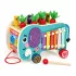 ECOTOYS fa oktatókocka elefánttal 8w1, húzható, formabedobó, xilofon, kukacfogó
