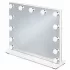 ECOTOYS LED sminktükör 50x40 cm, 3 fényárnyalattal, 13 izzóval