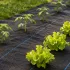 MultiGarden fekete UV-álló agroszövet gyomfogó talajtakaró 135 g/m² 0.8×100 m rögzítő tüskékkel