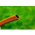 NEO TOOLS Locsolótömlő 3/4"x30 m, 4 rétegű ECONOMIC 15-804