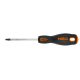 NEO TOOLS Csavarhúzó TORX 20X100mm 25 év garanciával 04-045