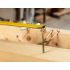 NEO TOOLS Mérőszalag 3 m/16 mm, acél, autostop+ rögzítő 67-221