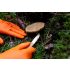 NEO TOOLS Munkakesztyű, perforált nitril, narancssárga, 50db, M 97-690-M