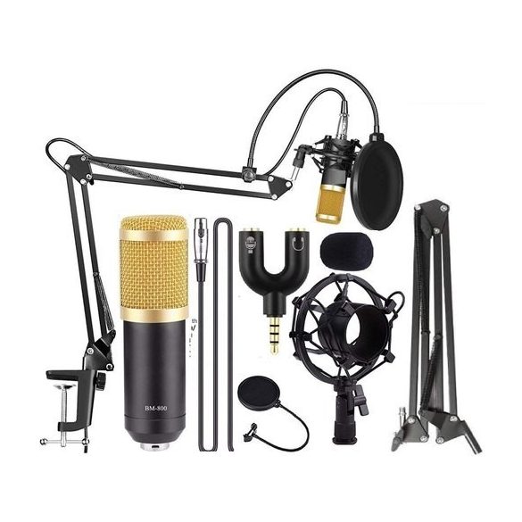 FOREV Asztalra rögzíthető mikrofon szett