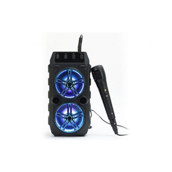 Nagy méretű profi Bluetooth Hangfal szett, Jack-dugós kimenettel, mikrofonhoz
