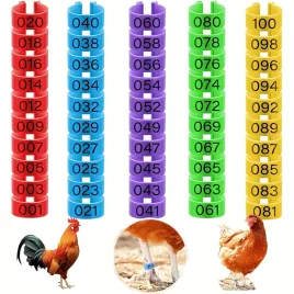 100 Darab Csirke Lábgyűrű 5 Színben