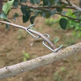   20 részes kerti szerszámkészlet, tartós gyümölcsfaág-hajlító, növénynövekedést formáló eszköz