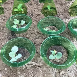 10db Kerti Üveg Fedő Növényvédő Készlet