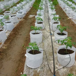   Könnyen telepíthető csepegtető öntözőrendszer 4-utas nyíl csatlakozókkal