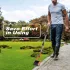Kézi fűszegélyvágó 177 cm-es nyéllel – rozsdamentes szegélyvágó kerti utakhoz