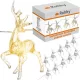 Karácsonyi fényfüzér – rénszarvas Ruhhy 24955