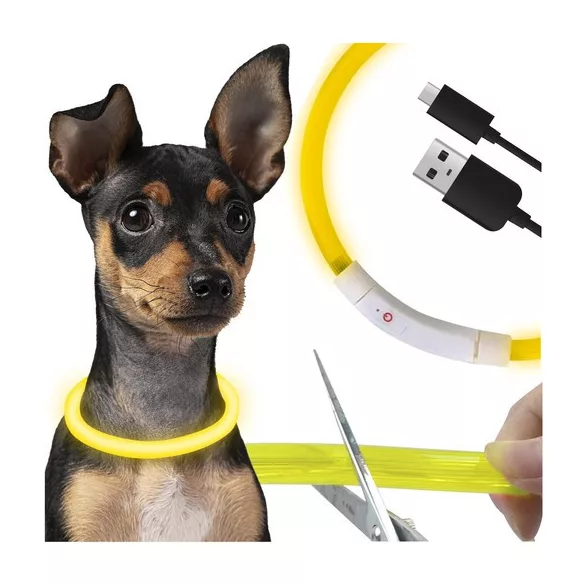 LED világító nyakörv - állítható Purlov 24200