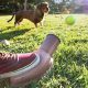 Playdog labdakilövő játék