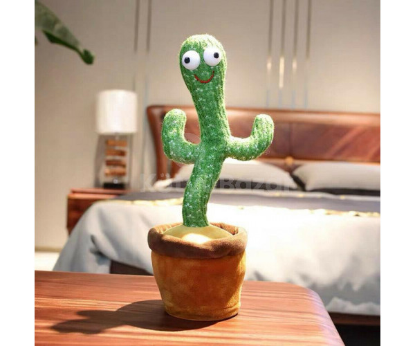 Táncoló kaktusz, interaktív játék