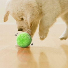 Kutyajáték, kutya labda, interaktív labda kutyáknak