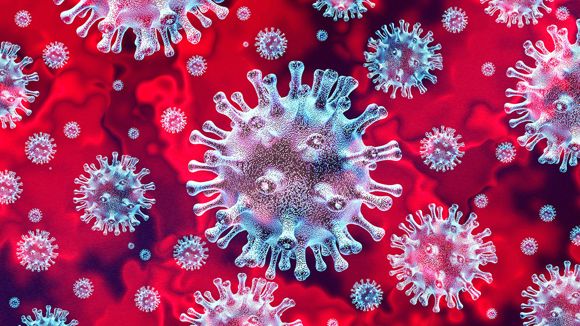 A koronavírussal kapcsolatos tudnivalók a KütyüBazárnál